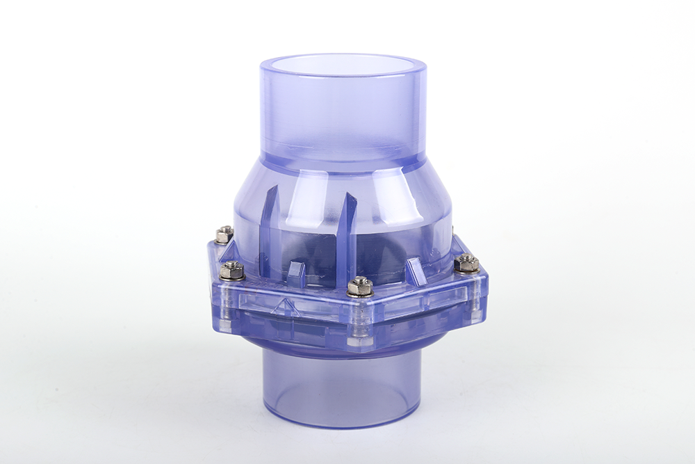 信州透明翻板式止回阀